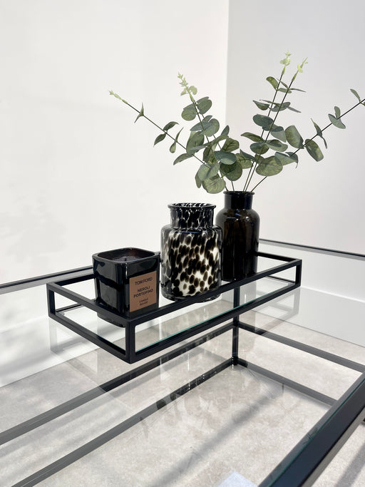 metal and glass shelf to compliment glass coffee tables